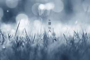 灰色草丛腊八海报背景