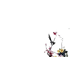 树枝上的喜鹊