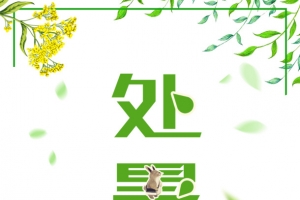 夏季处暑边框手绘人物树叶草地