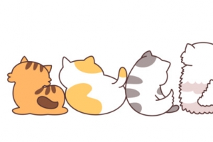 小花猫背景
