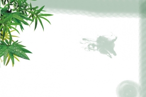 古典端午节绿色树叶植物叶子