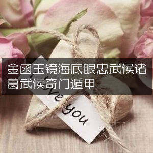 金函玉镜探海底，忠武侯诸葛奇门遁甲古典文集