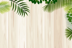 热带植物模板纹理海报背景