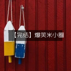 【完结】米小圈爆笑来袭