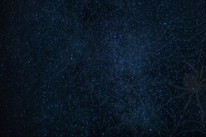 蛛网 蜘蛛 星空 闪耀 4k壁纸 3840x2160