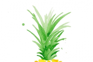 手绘菠萝