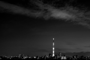 夜城 建筑 建筑 全景 黑暗 黑白 4k壁纸 3840x2160