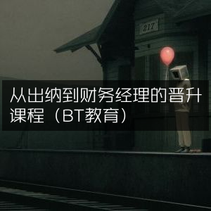 出纳至财务经理晋升实战课程 - BT教育