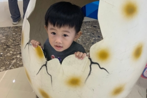 （随拍）一只小恐龙宝宝