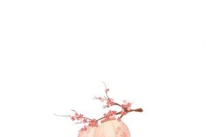 粉红灯笼免扣元素