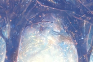 梦幻星空树干沧桑