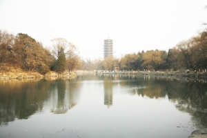 清华大学