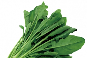 一把菠菜