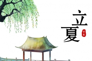 立夏凉亭柳树荷花