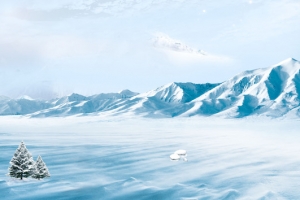 冬季新品上市白色大气电商冰雪雪山banner
