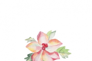 圣诞节手绘花纹素材