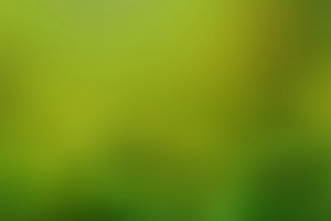 绿色的模糊背景图
