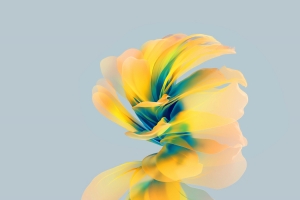 华为Pocket S 内置高清壁纸