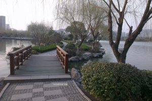 随拍（枣庄新城-凤鸣湖）