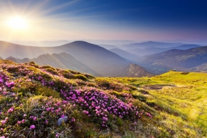 山 鲜花 草 太阳 4K风景壁纸