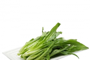 油麦菜图片素材