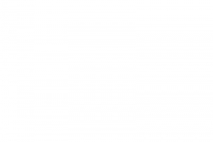 传统节日老虎春节