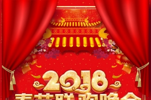 2018狗年春节联欢晚会节目单封面