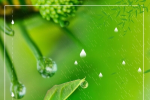 小清新二十四节气谷雨PSD素材