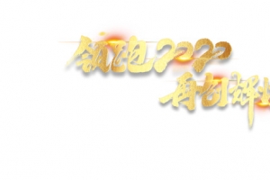 领跑2020 再创辉煌