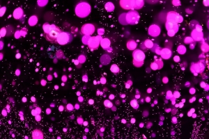 眩光 散焦 紫色 淡紫色 圆形 4k壁纸 3840x2160