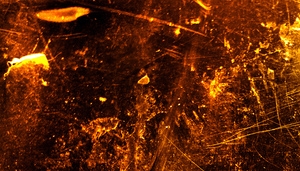 酷炫金属黄金花纹背景banner