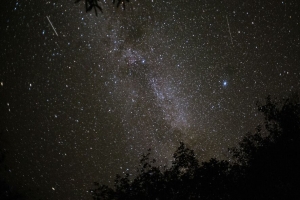 空间 树枝 深色 星星 4k壁纸 3840x2160