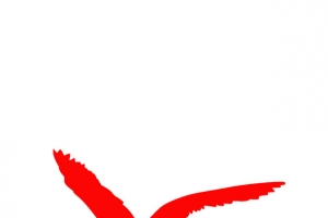 剪纸 动物 海鸥