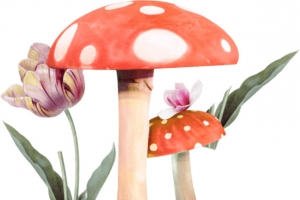 手绘蘑菇花朵