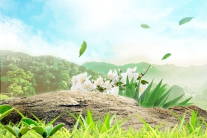 花草树木背景