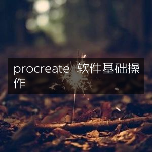 Procreate软件基础操作指南