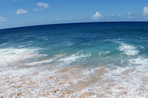 海水
