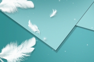 清新唯美羽毛促销banner