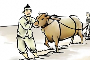 古代拉牛车在田地里耕作的戴头巾
