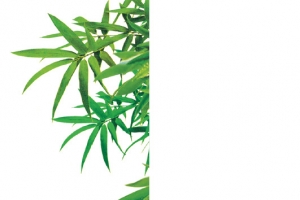 端午节元素