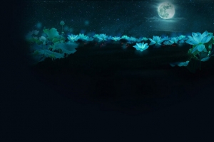 荷塘夜色背景