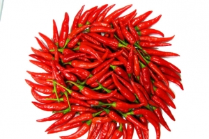 食物图案食物卡通 辣椒俯视图