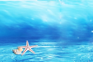 补水美妆海底世界海星蓝色背景