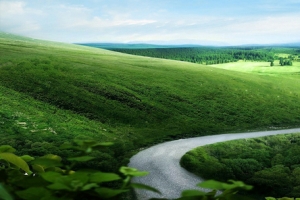 自然小路背景图