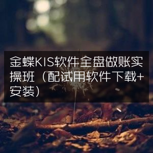 金蝶KIS软件全盘账务处理实战班，含试用软件下载安装