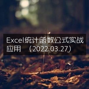 Excel统计函数公式实战应用指南（2022版）