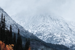 山 峰 雪 森林 树木 云 风景 4k壁纸 3840x2160