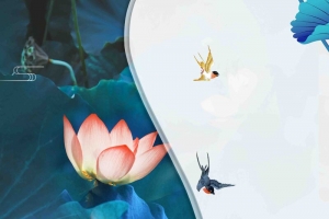小清新二十四节气之大暑创意海报