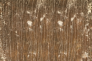 高清木质木板纹理PNG透明背景设计素材免费下载