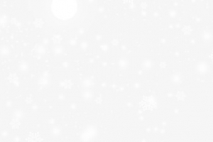 漫天飞舞的雪花